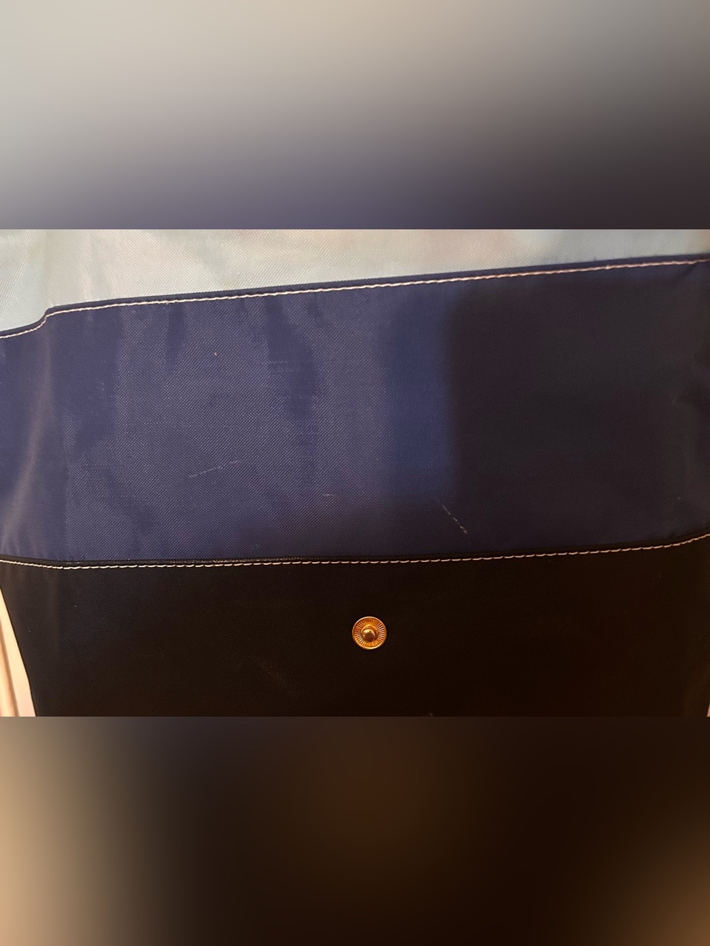 Longchamp Bag - Picture 13 of 16